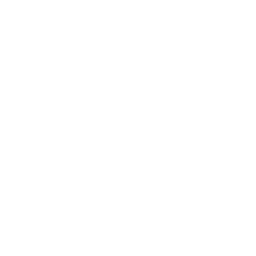 paperboy logo